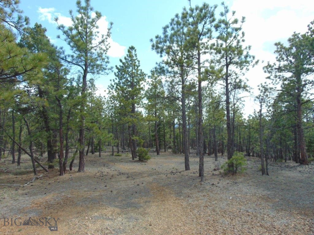 3575 Sweetwater Rd Road, Helena MT 59602