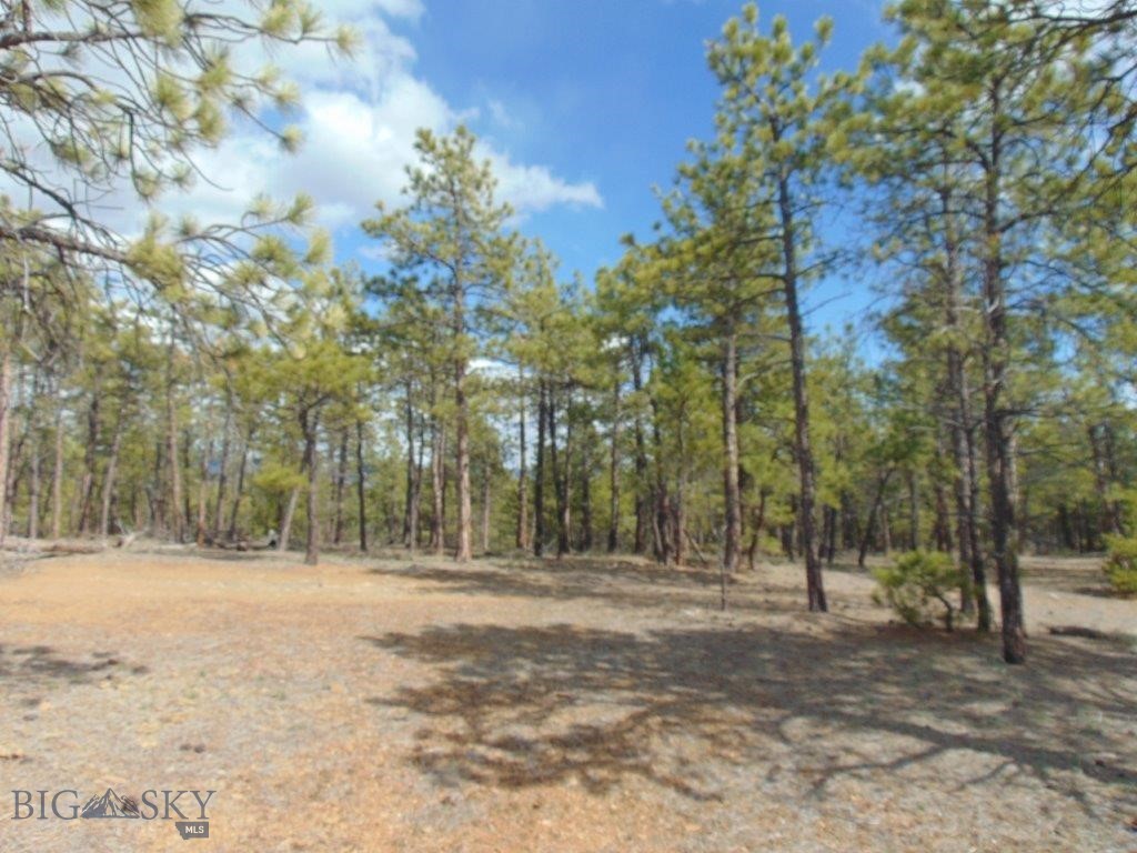 3575 Sweetwater Rd Road, Helena MT 59602