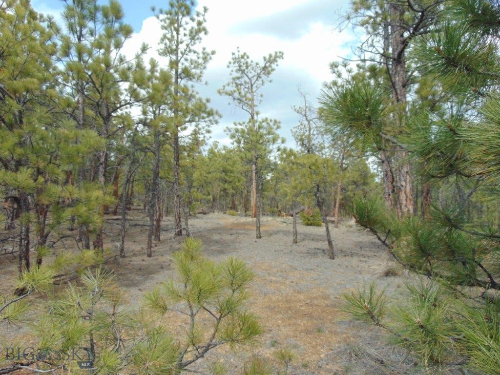 3575 Sweetwater Rd Road, Helena MT 59602