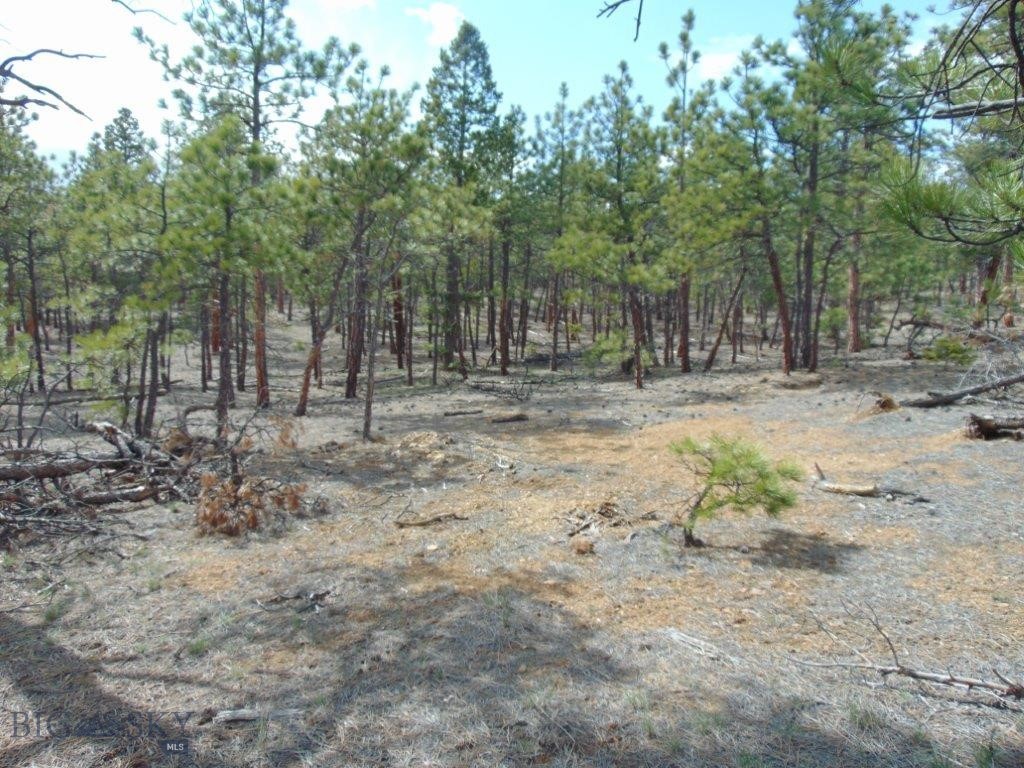 3575 Sweetwater Rd Road, Helena MT 59602