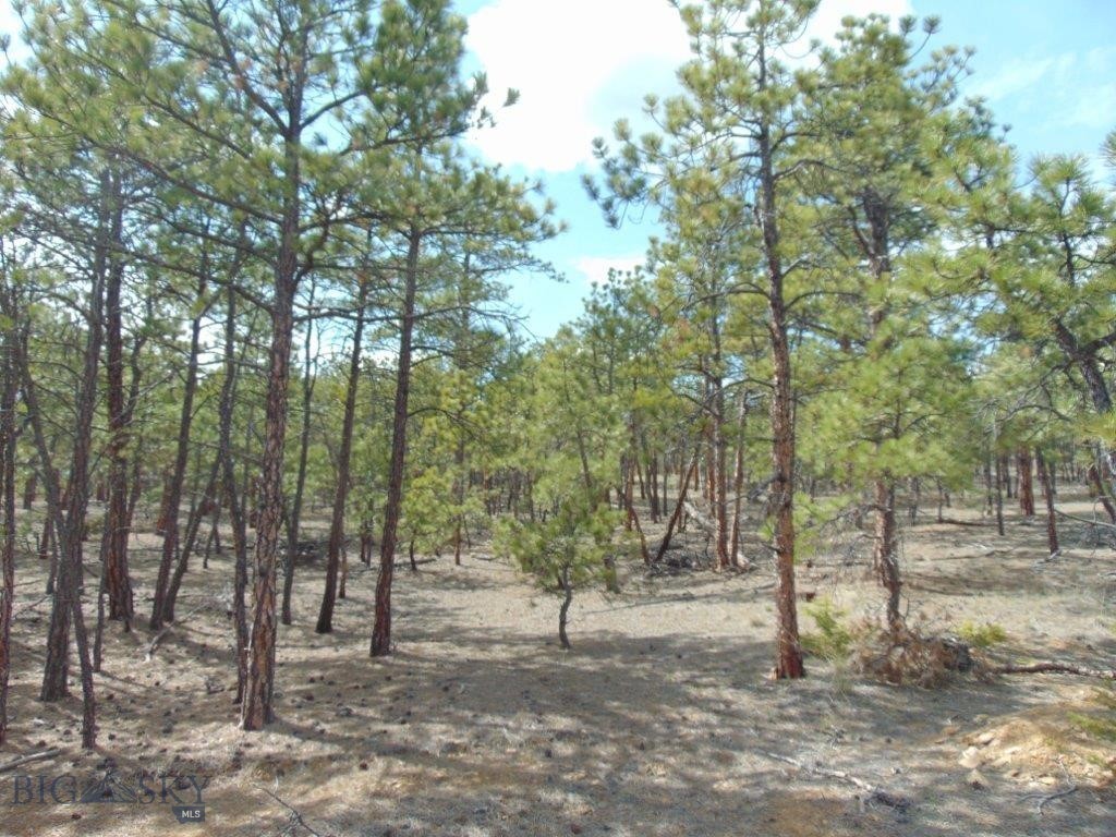 3575 Sweetwater Rd Road, Helena MT 59602