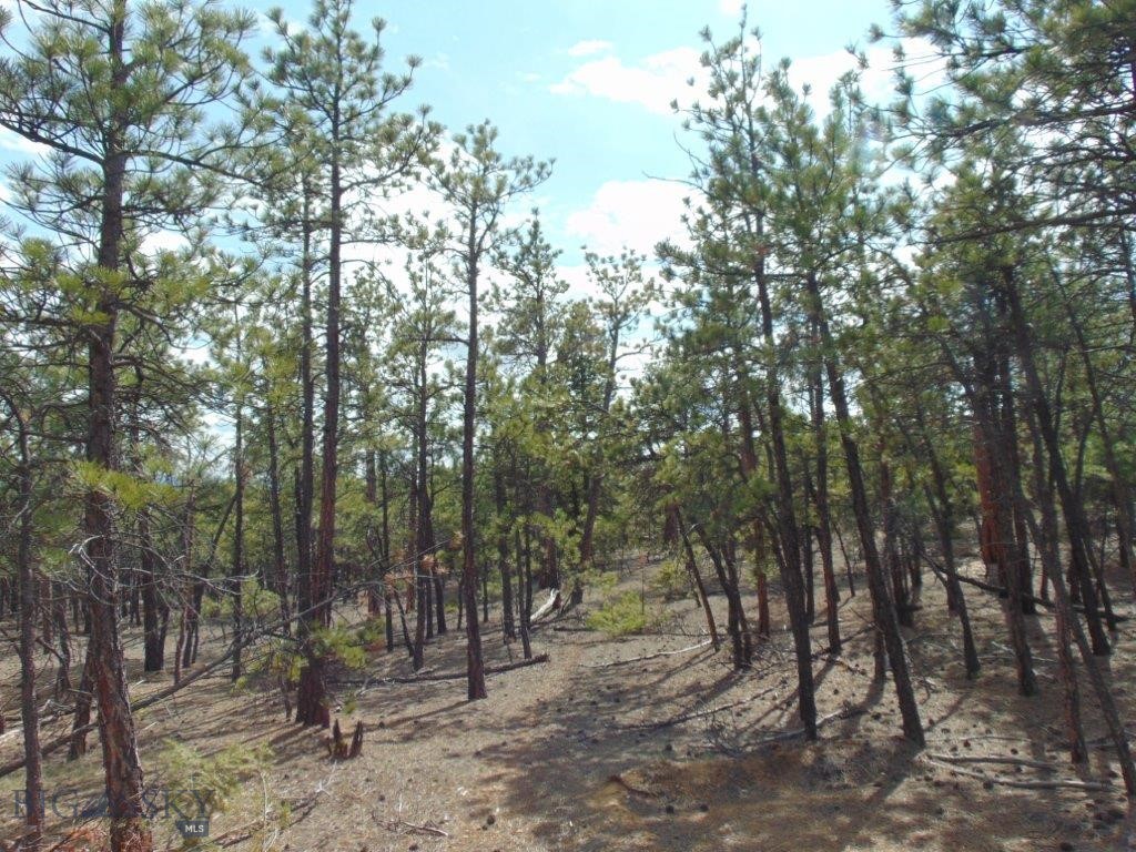 3575 Sweetwater Rd Road, Helena MT 59602