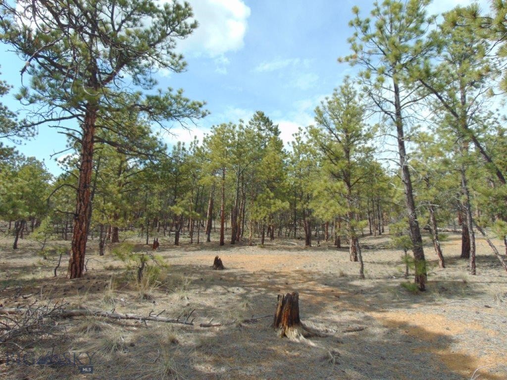 3575 Sweetwater Rd Road, Helena MT 59602