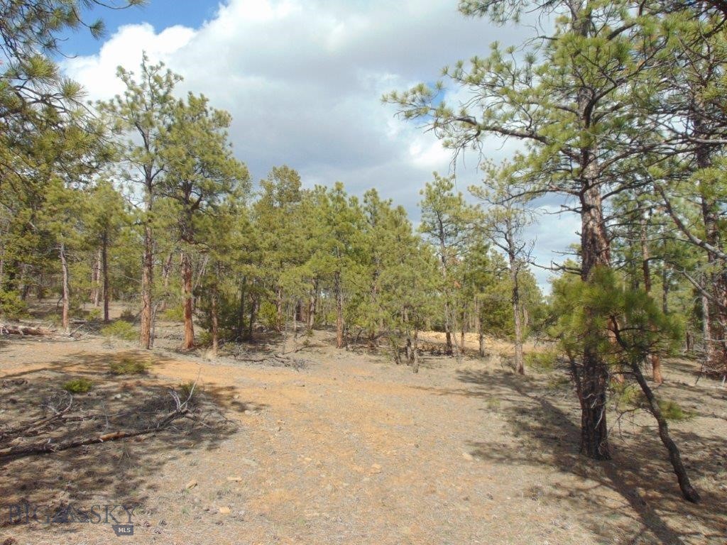 3575 Sweetwater Rd Road, Helena MT 59602