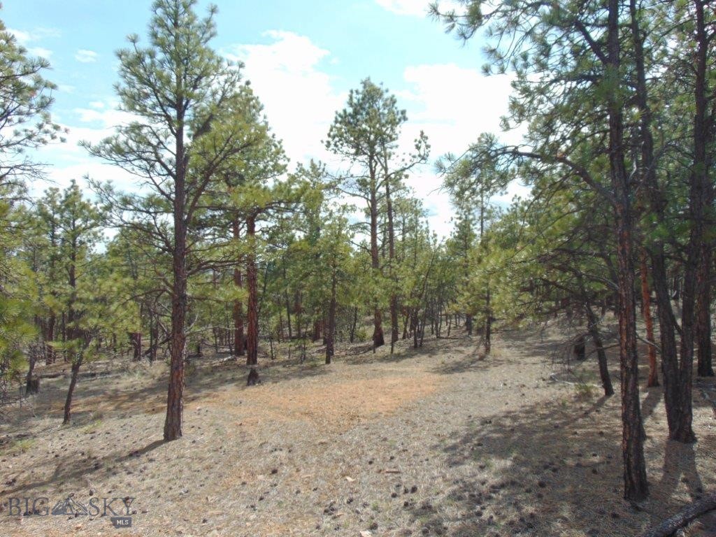 3575 Sweetwater Rd Road, Helena MT 59602