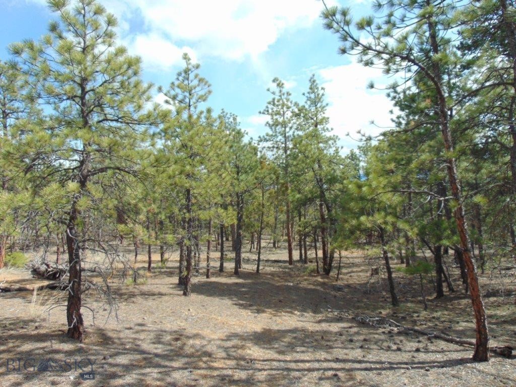 3575 Sweetwater Rd Road, Helena MT 59602