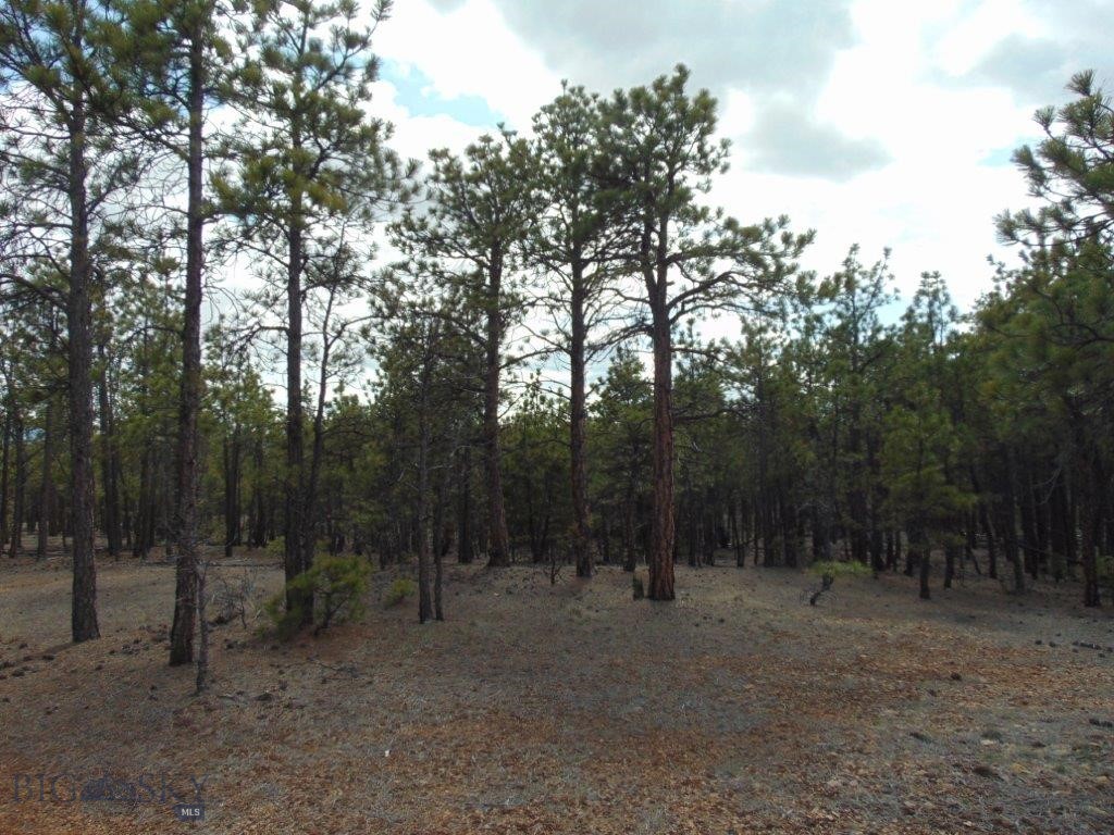 3575 Sweetwater Rd Road, Helena MT 59602