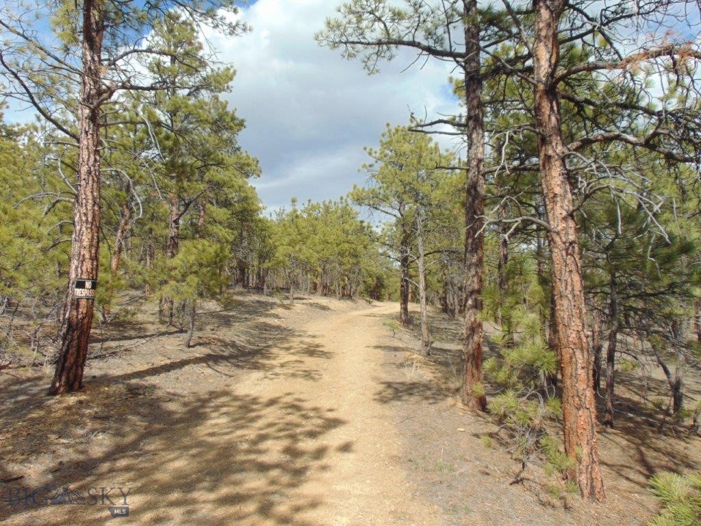 3575 Sweetwater Rd Road, Helena MT 59602