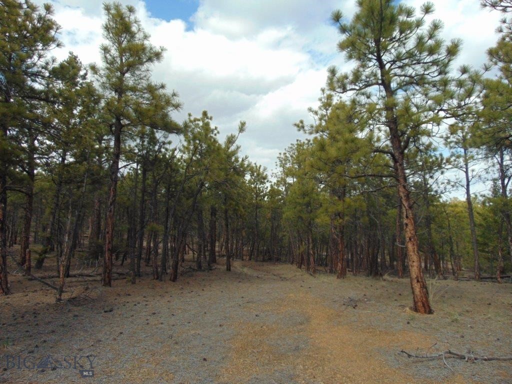 3575 Sweetwater Rd Road, Helena MT 59602