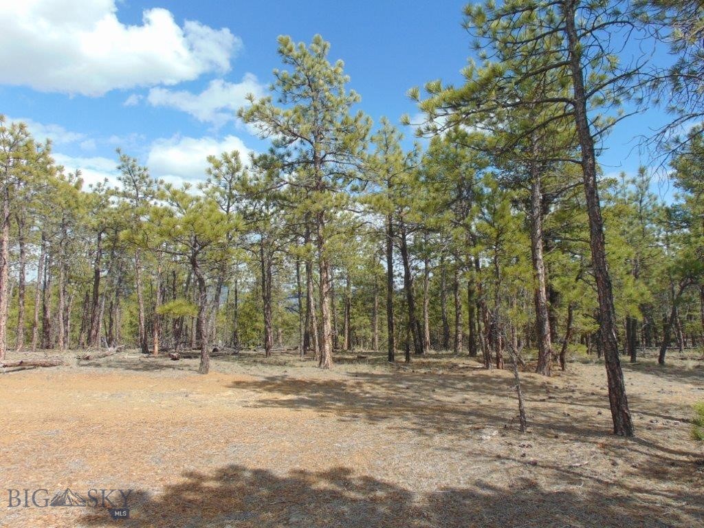 3575 Sweetwater Rd Road, Helena MT 59602