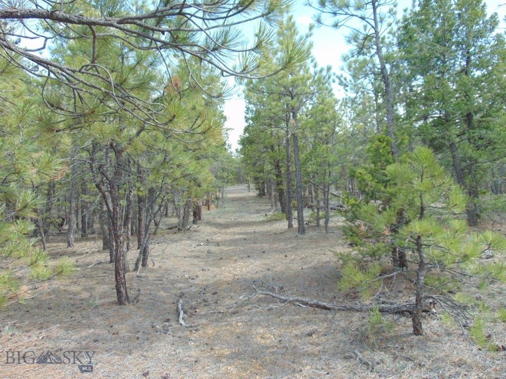 3575 Sweetwater Rd Road, Helena MT 59602