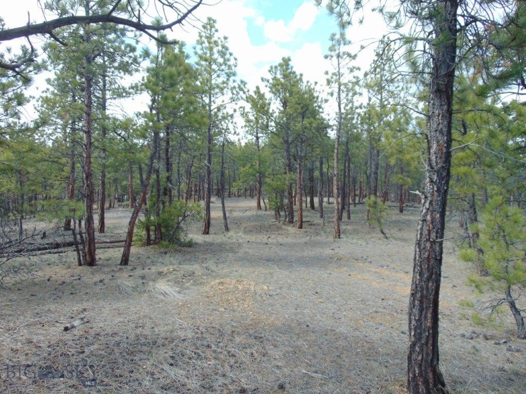 3575 Sweetwater Rd Road, Helena MT 59602