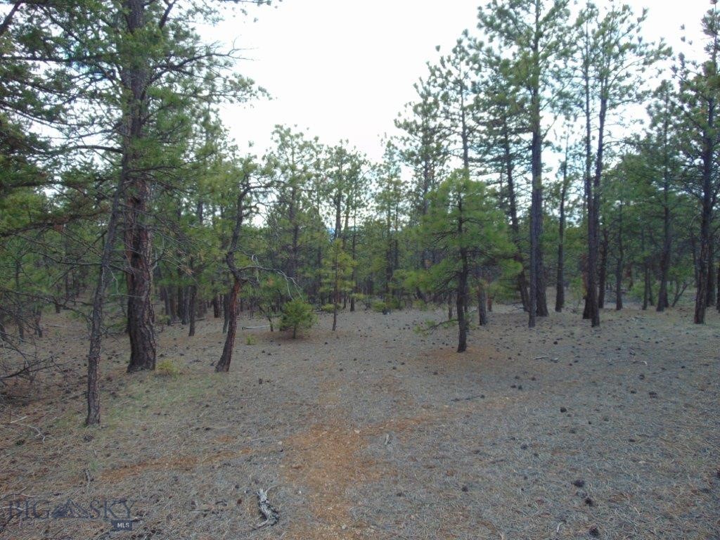 3575 Sweetwater Rd Road, Helena MT 59602