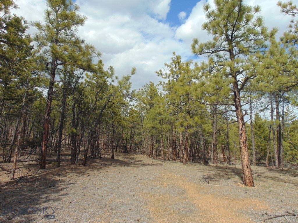 3575 Sweetwater Rd Road, Helena MT 59602