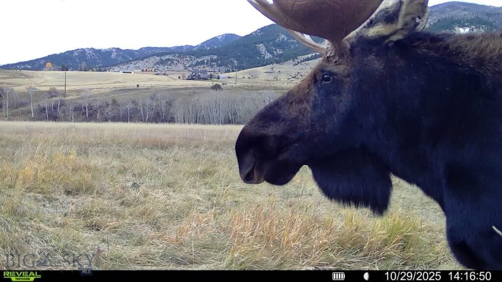 3592 Bridger Canyon Road, Bozeman MT 59715