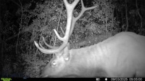 Bozeman MT 59715 - 12