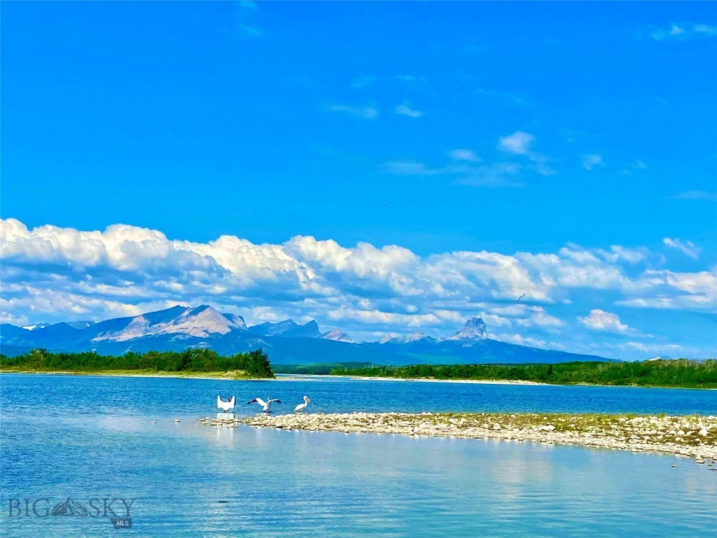 36 S Shore Road, Babb MT 59411