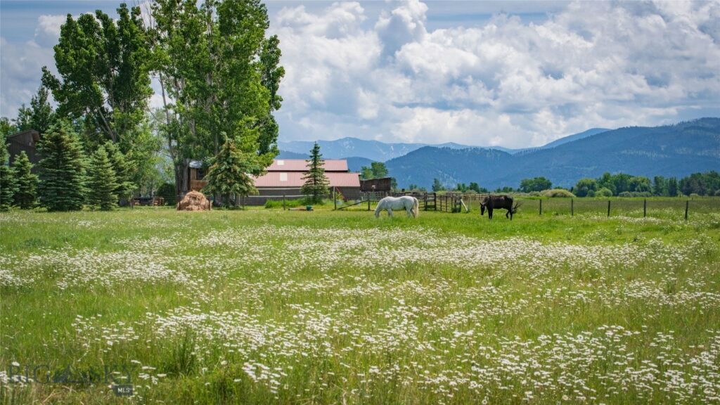 3640 Jagar Lane, Bozeman MT 59718