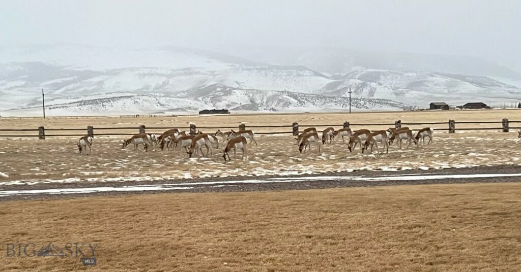 37 Staggers Lane South, Cameron MT 59720