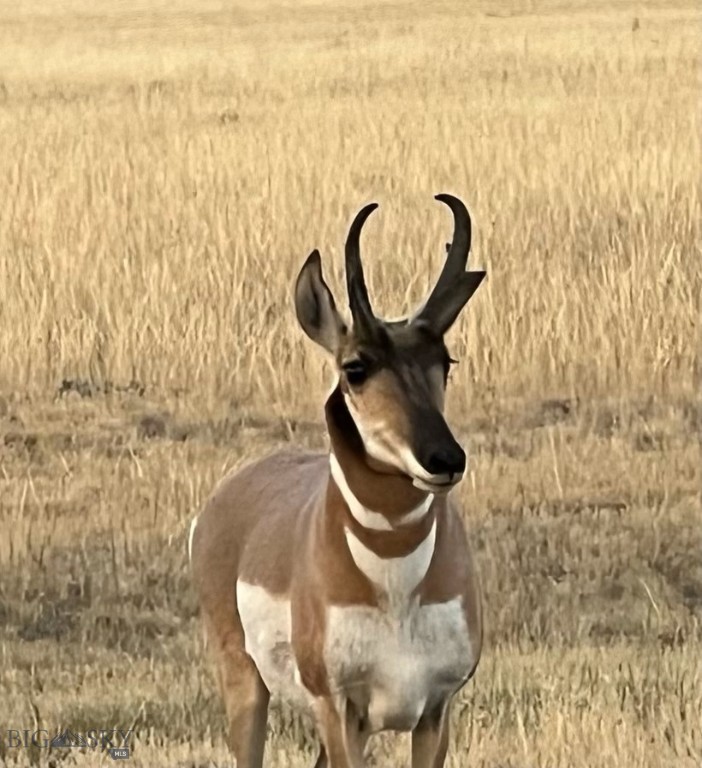 37 Staggers Lane South, Cameron MT 59720