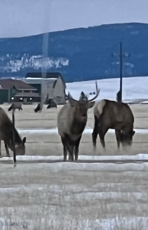 37 Staggers Lane South, Cameron MT 59720