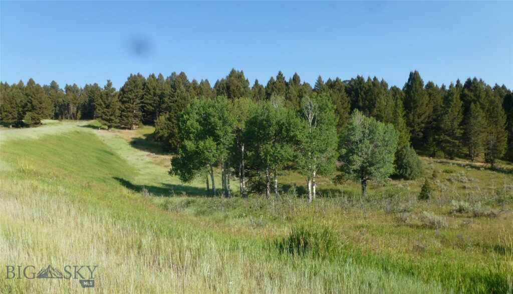 37 Talus Trail, Big Sky MT 59730