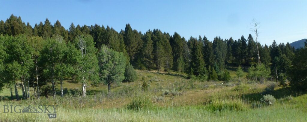 37 Talus Trail, Big Sky MT 59730