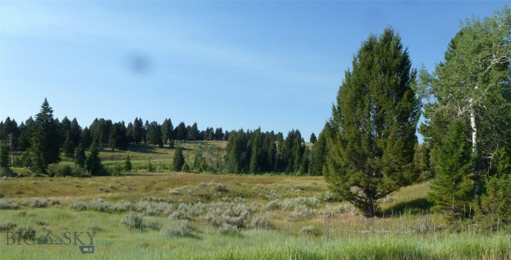 37 Talus Trail, Big Sky MT 59730