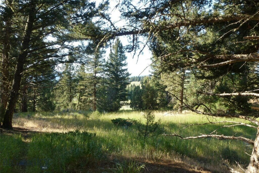 37 Talus Trail, Big Sky MT 59730