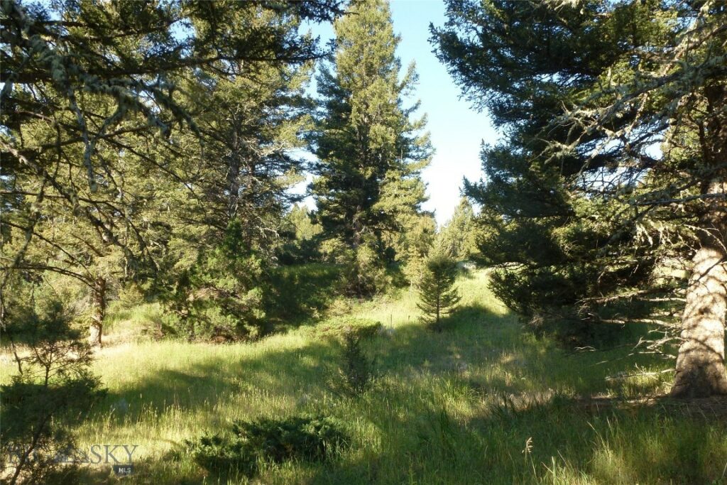 37 Talus Trail, Big Sky MT 59730