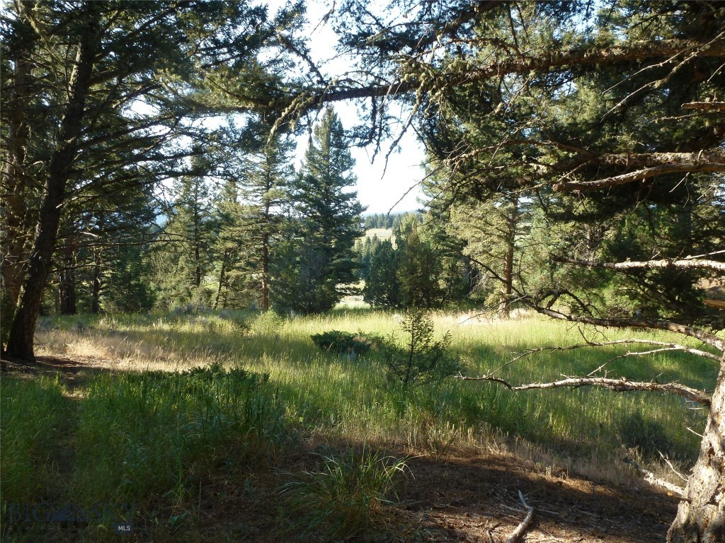 37 Talus Trail, Big Sky MT 59730