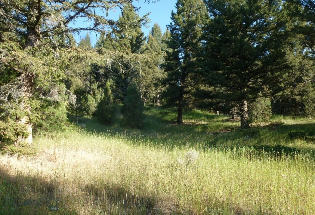 37 Talus Trail, Big Sky MT 59730