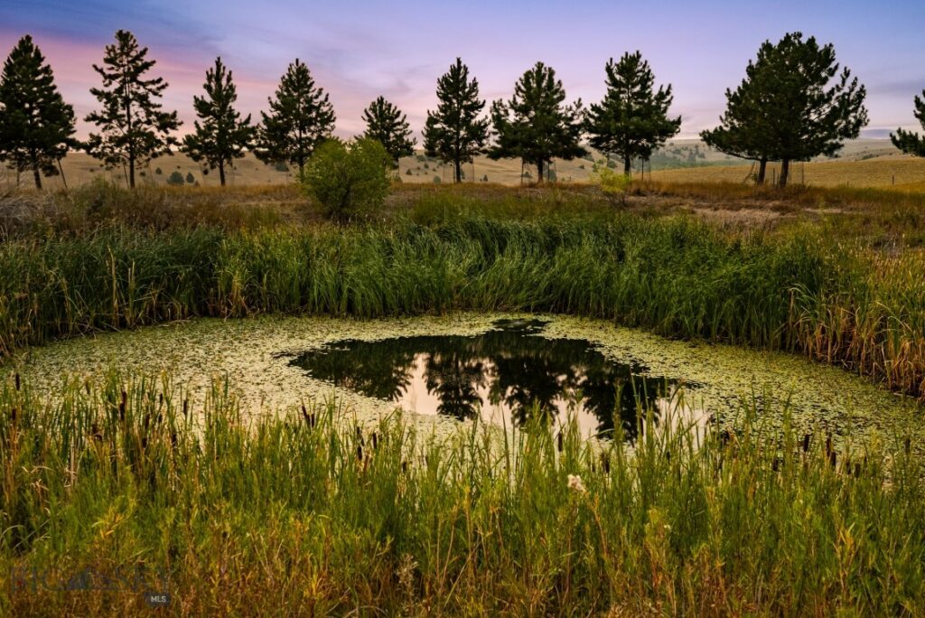 3753 Reese Creek Road, Belgrade MT 59714