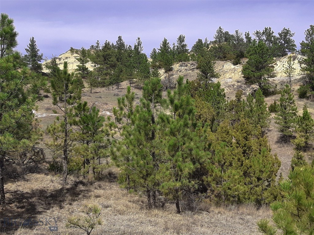 3808 Moon Creek Road, Miles City MT 59301