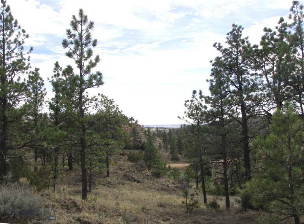 3808 Moon Creek Road, Miles City MT 59301