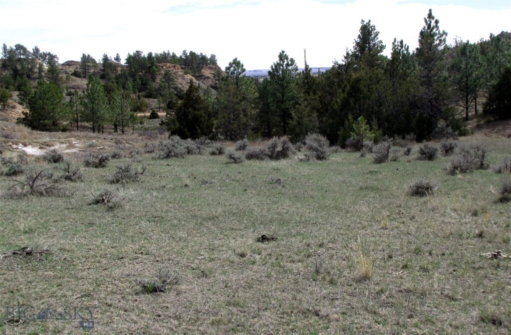 3808 Moon Creek Road, Miles City MT 59301