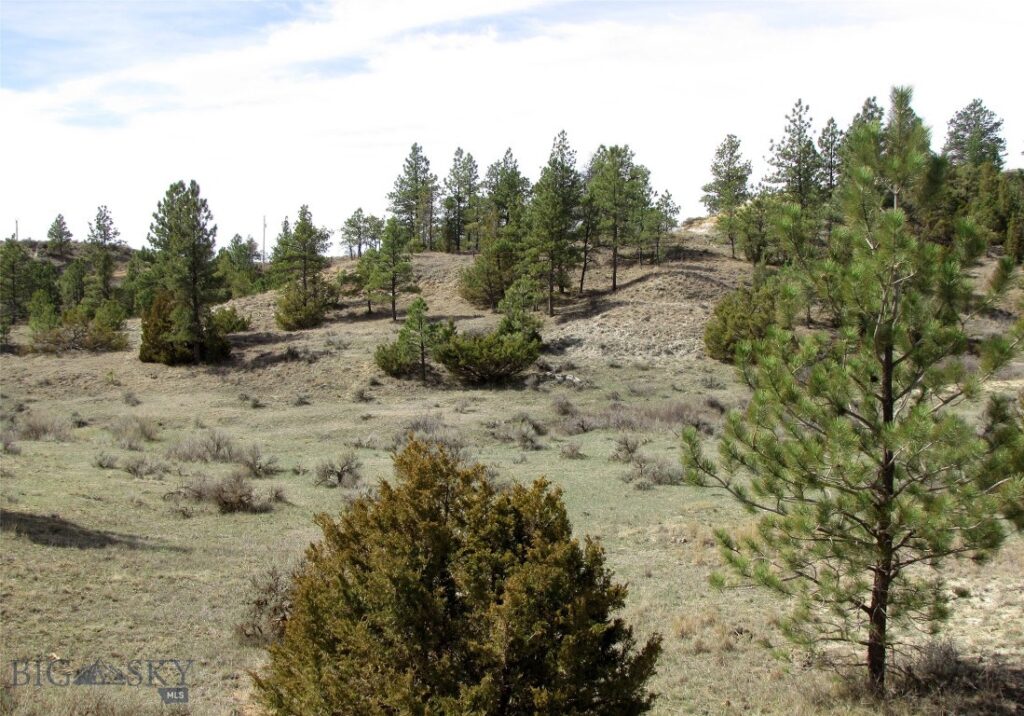 3808 Moon Creek Road, Miles City MT 59301