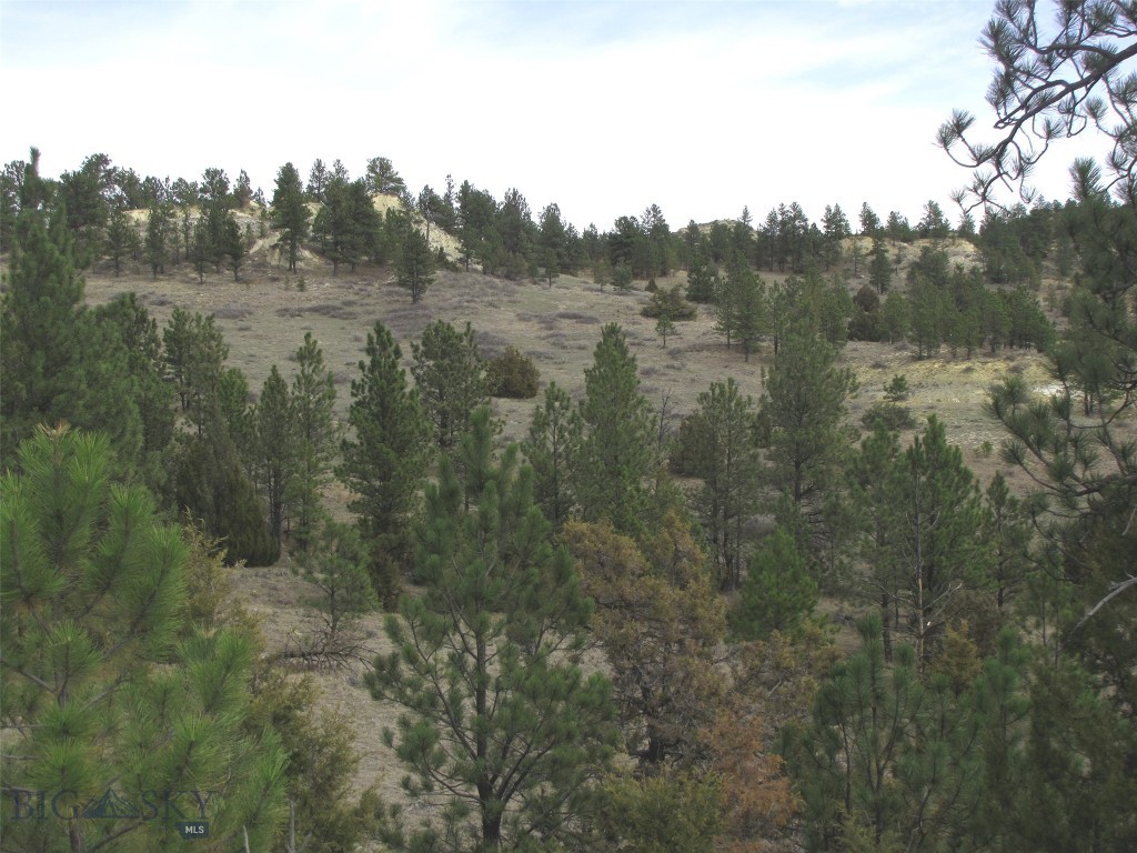 3808 Moon Creek Road, Miles City MT 59301