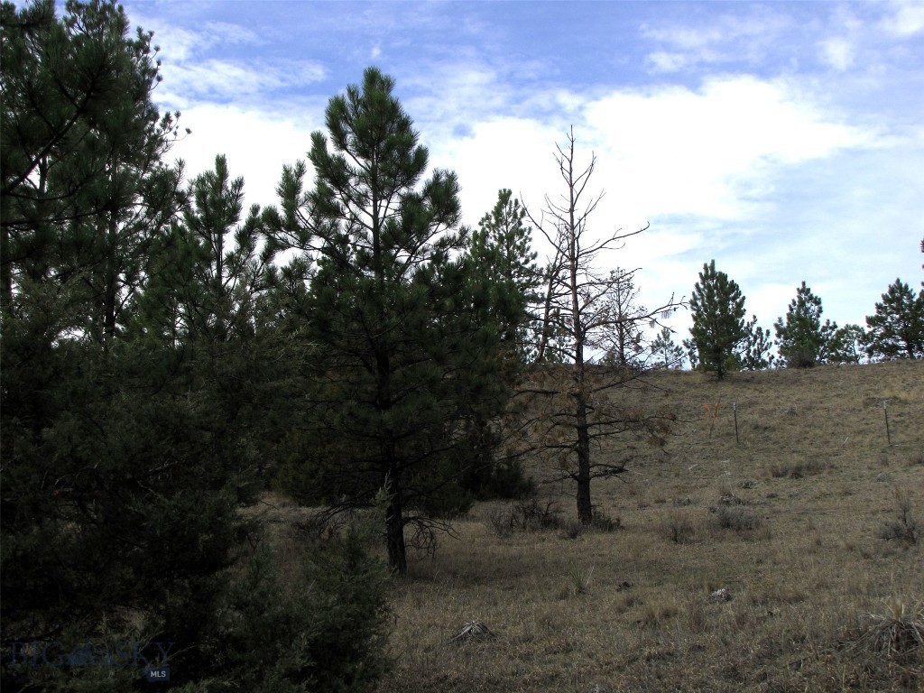 3808 Moon Creek Road, Miles City MT 59301