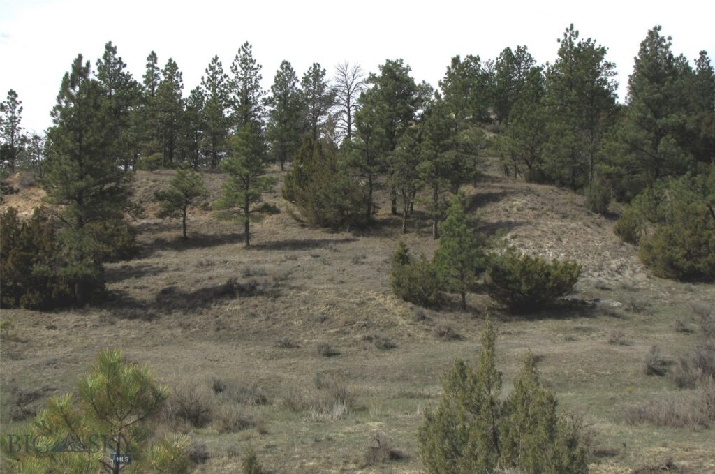 3808 Moon Creek Road, Miles City MT 59301