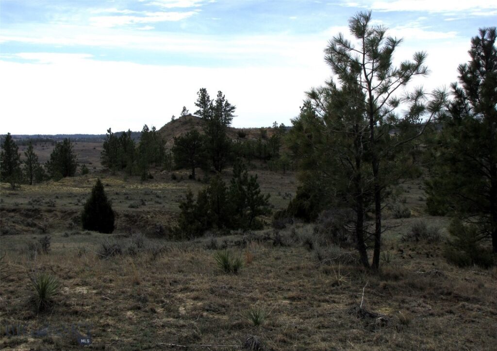 3808 Moon Creek Road, Miles City MT 59301