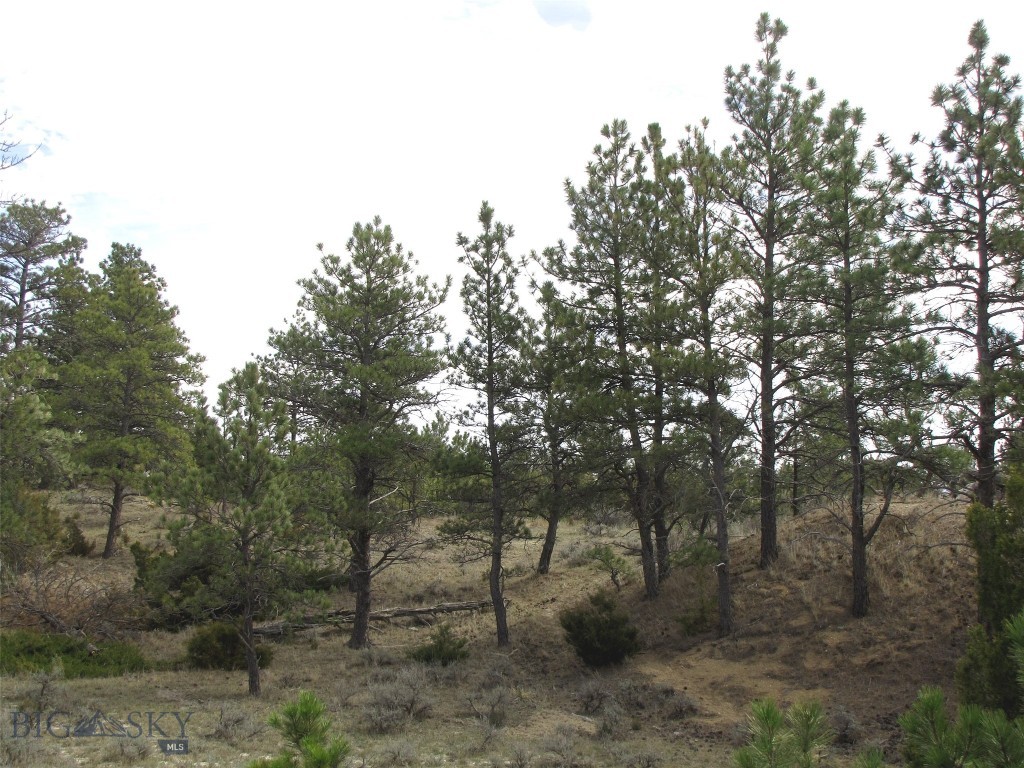 3808 Moon Creek Road, Miles City MT 59301