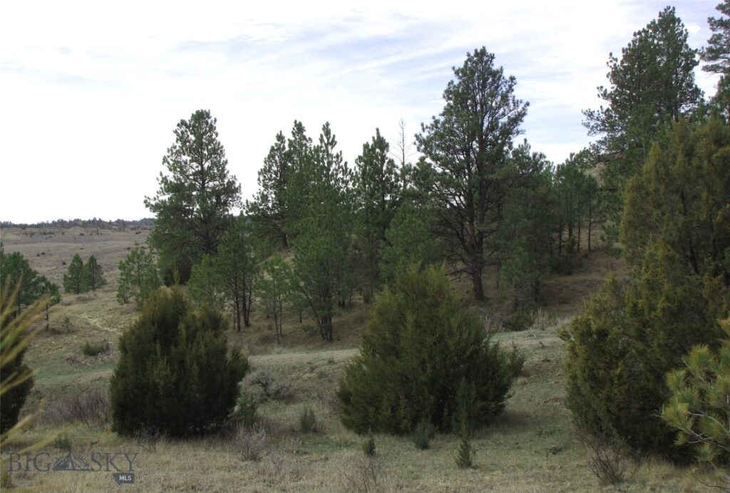 3808 Moon Creek Road, Miles City MT 59301