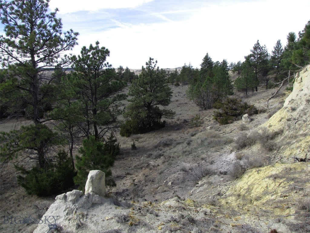 3808 Moon Creek Road, Miles City MT 59301