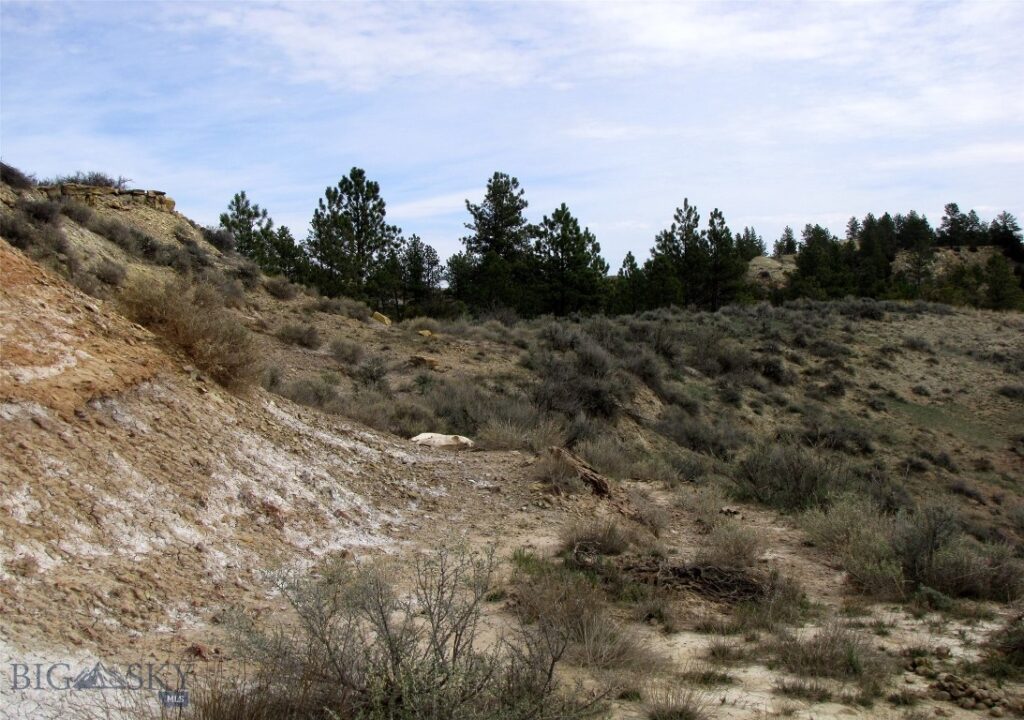 3808 Moon Creek Road, Miles City MT 59301