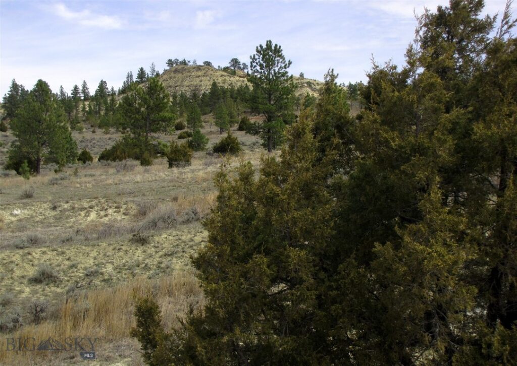 3808 Moon Creek Road, Miles City MT 59301