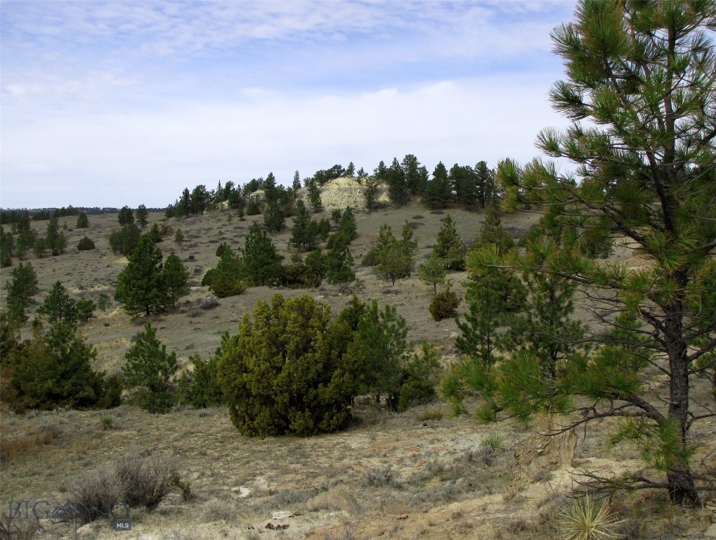 3808 Moon Creek Road, Miles City MT 59301