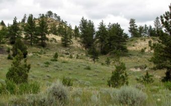 3808 Moon Creek Road, Miles City MT 59301