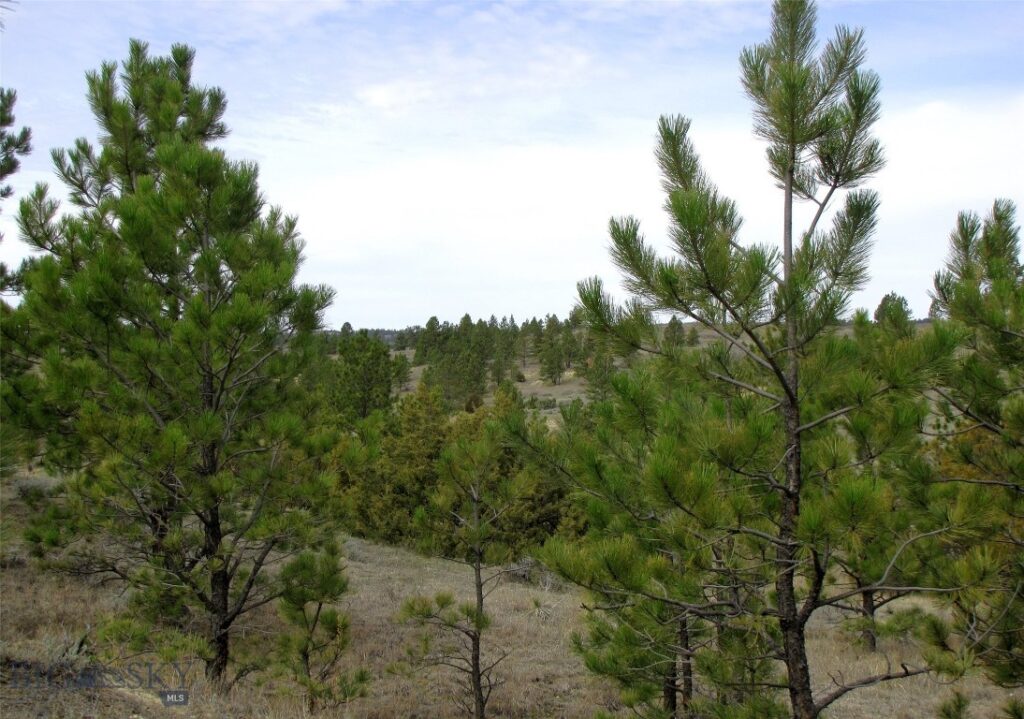 3808 Moon Creek Road, Miles City MT 59301