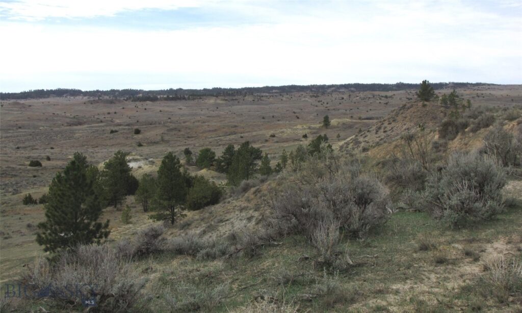 3808 Moon Creek Road, Miles City MT 59301